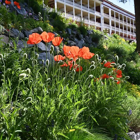 Hotel Schatzalp 3*