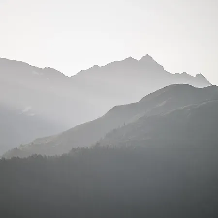 호텔 Schatzalp 다보스