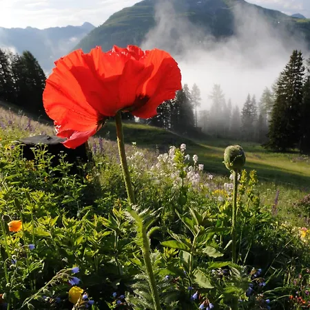 Schatzalp Hotel 3*